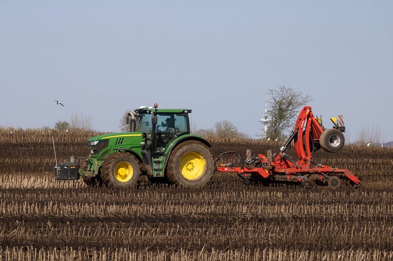 Fertilizing Plants