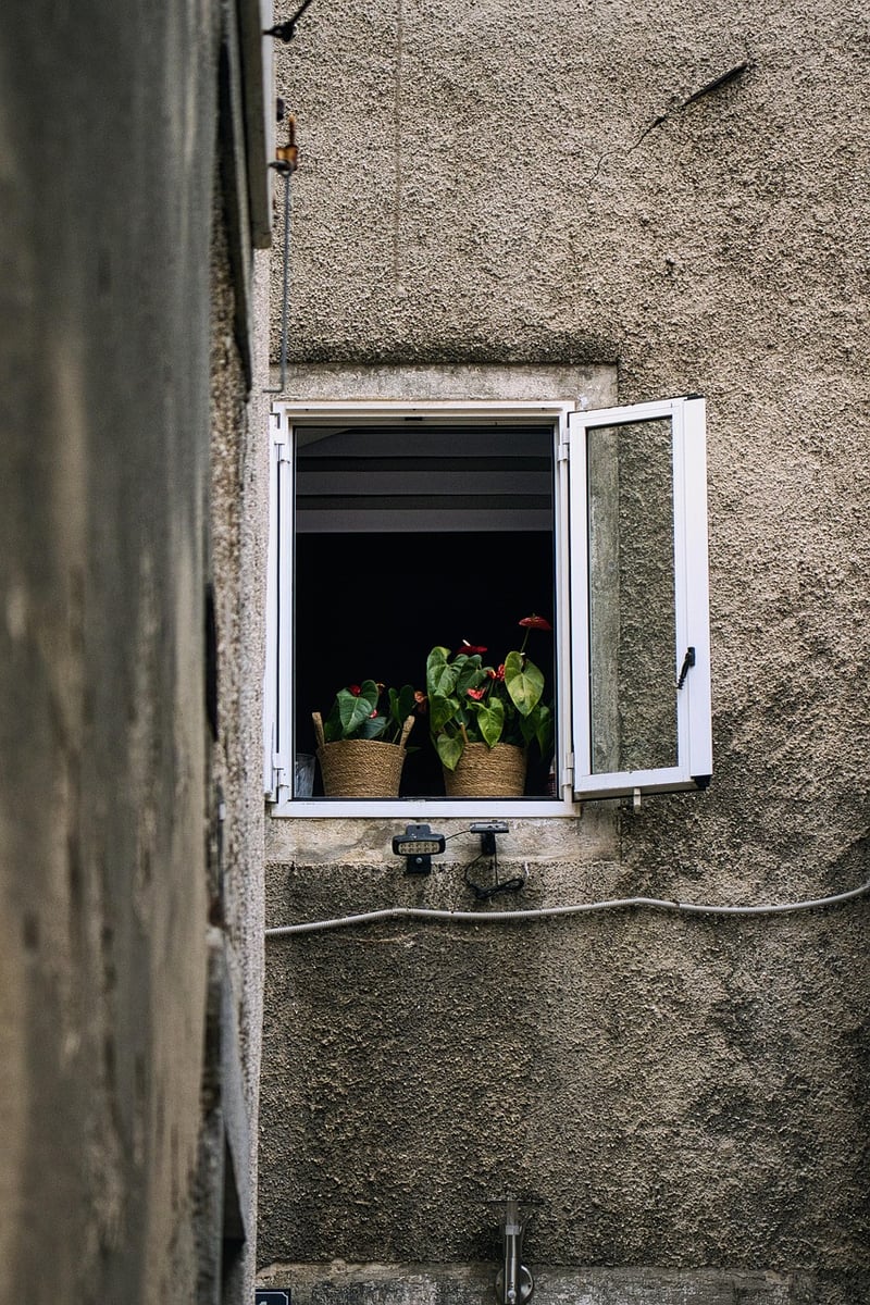 Window Sill Gardening
