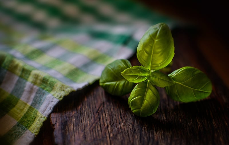 Herbs in Herb Spiral